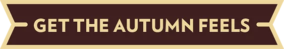 stok pumpkin btn